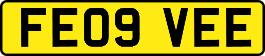 FE09VEE