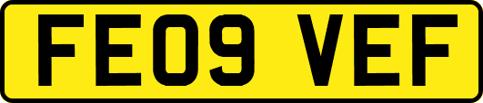 FE09VEF