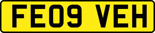 FE09VEH