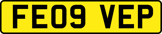 FE09VEP