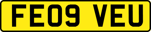 FE09VEU