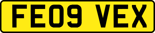 FE09VEX