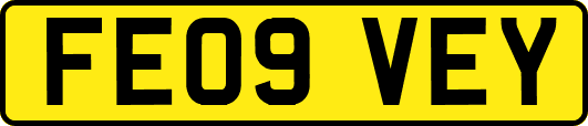 FE09VEY