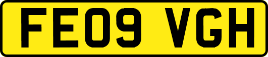 FE09VGH