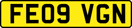 FE09VGN