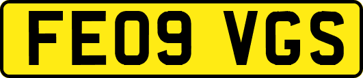 FE09VGS