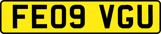 FE09VGU