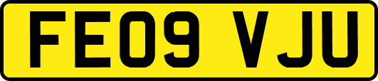 FE09VJU