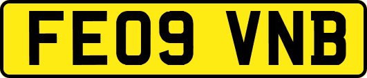 FE09VNB
