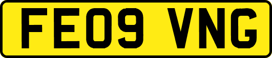FE09VNG