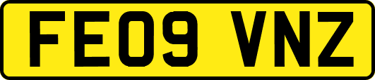 FE09VNZ