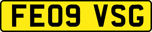 FE09VSG