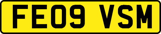 FE09VSM
