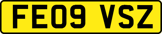 FE09VSZ
