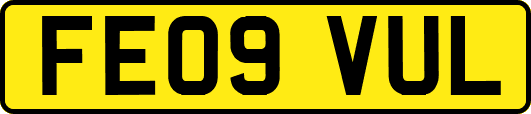 FE09VUL