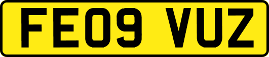 FE09VUZ