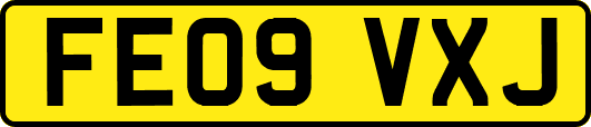 FE09VXJ