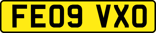 FE09VXO