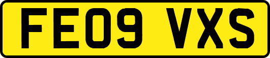 FE09VXS