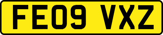 FE09VXZ