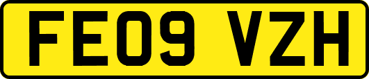 FE09VZH