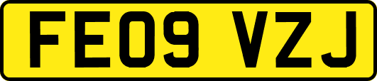FE09VZJ
