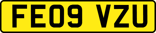 FE09VZU