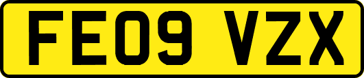FE09VZX
