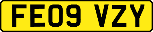 FE09VZY