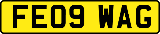 FE09WAG