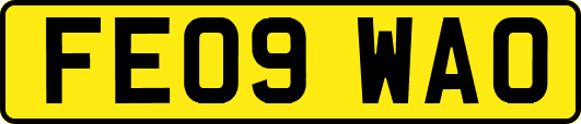 FE09WAO