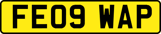 FE09WAP