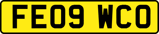 FE09WCO