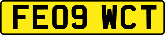 FE09WCT