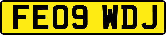 FE09WDJ