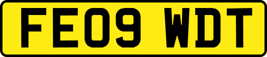 FE09WDT