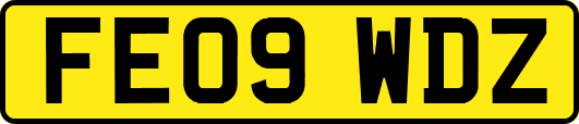 FE09WDZ