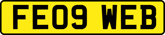 FE09WEB