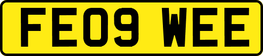 FE09WEE