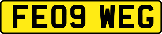 FE09WEG