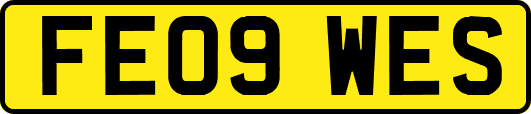 FE09WES