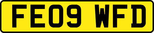 FE09WFD