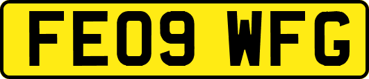 FE09WFG