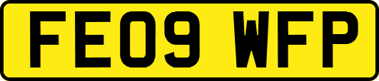 FE09WFP