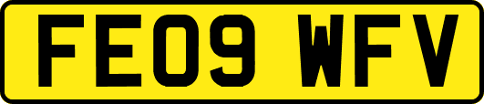 FE09WFV