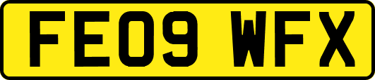 FE09WFX