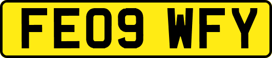 FE09WFY
