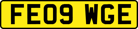 FE09WGE