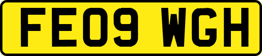 FE09WGH