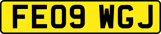 FE09WGJ